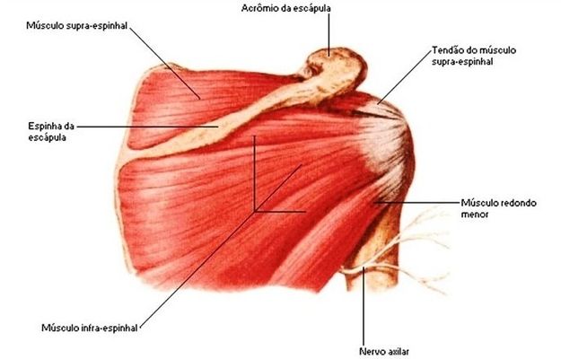 Pr�-Diagn�stico