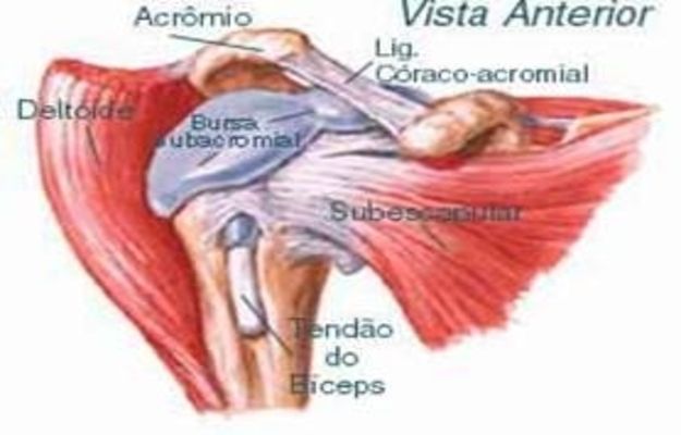 Pr�-Diagn�stico
