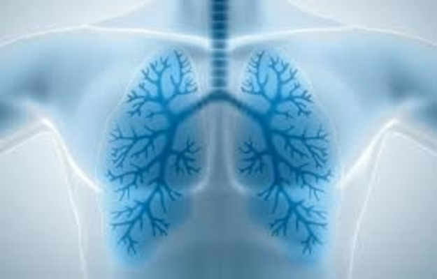 Fisioterapeuta Respirat�rio